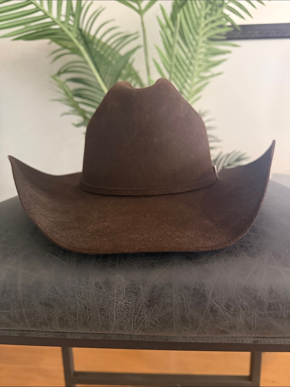Stetson skyline chocolate Western cowboy Hat with silver hat buckle - Picture 2 of 16